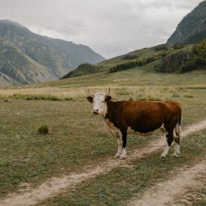 Professional landscape and travel photography